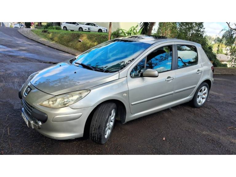 PEUGEOT - 307 - 2009/2010 - Prata - R$ 28.900,00